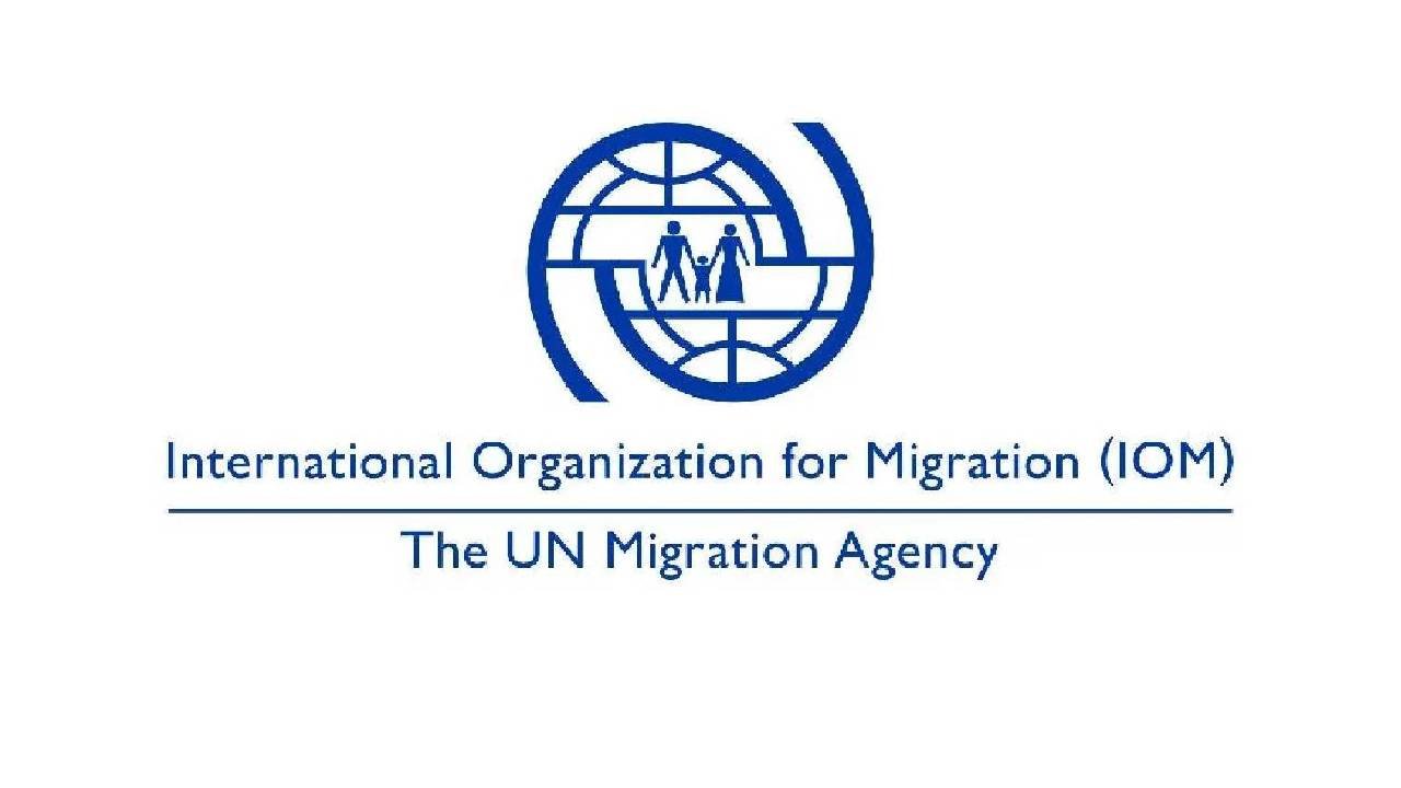 IOM Recruitment ( March 2024) : Open Jobs/vacancies at Worldwide Group For Migration