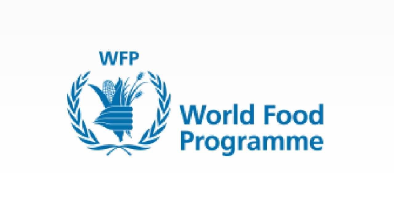 WFP recruitment ( March 2024) : Open Jobs/Vacancies at World Meals Programme