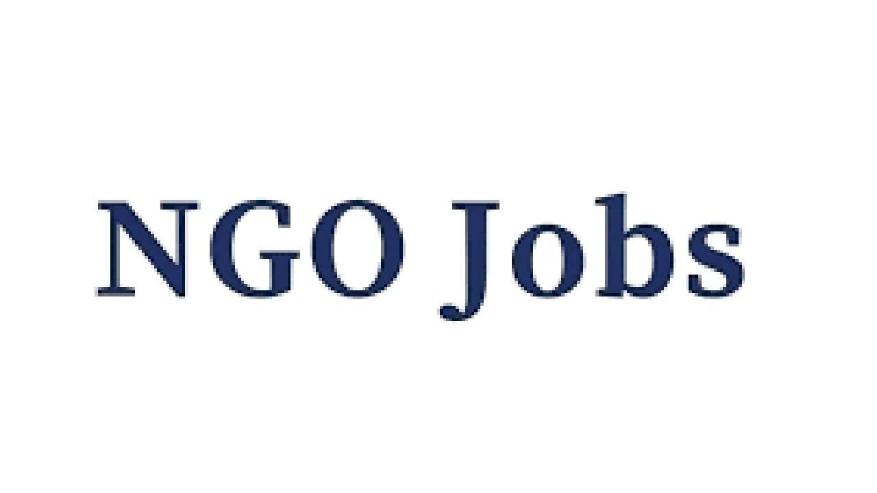 Work with International NGOs : Explore Open Vacancies ( August 2025) & Apply Today